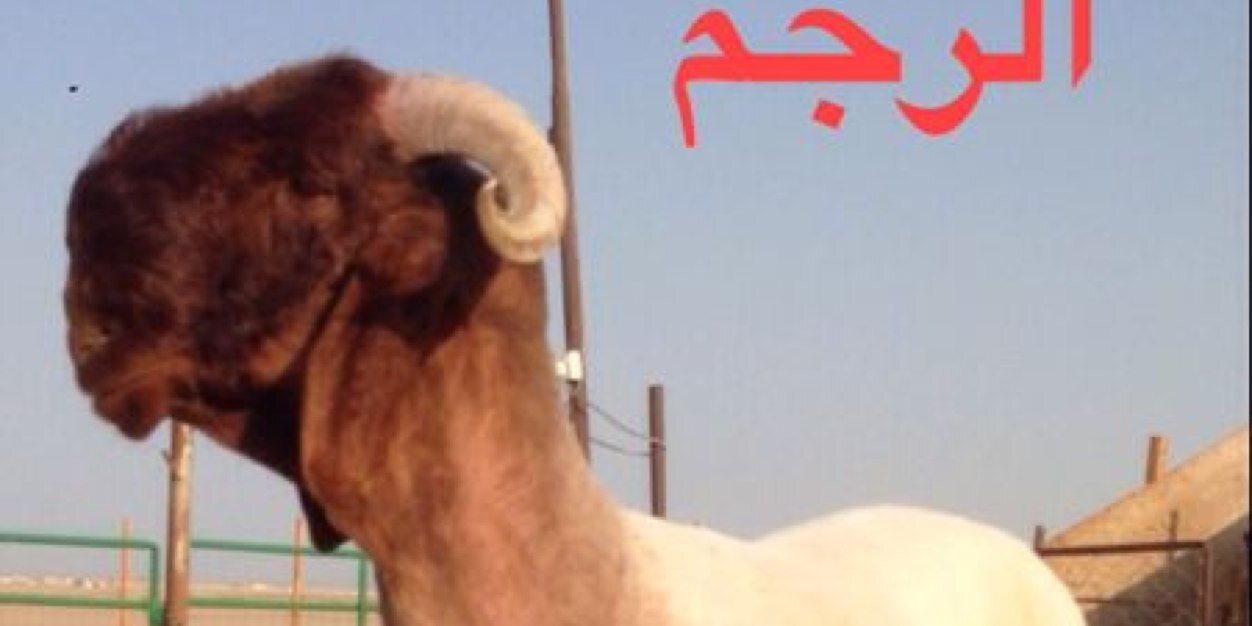 Halal_salem's profile banner image