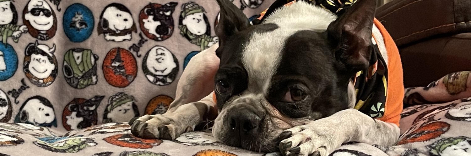 UriDidIt's profile banner image