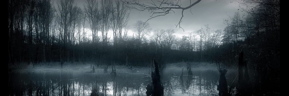 Dom_1K's profile banner image