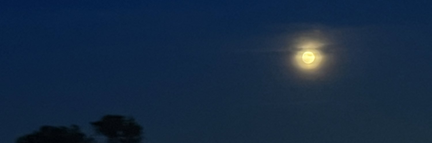 ejisonmars's profile banner image