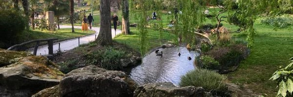 barbaradevos Profile Banner