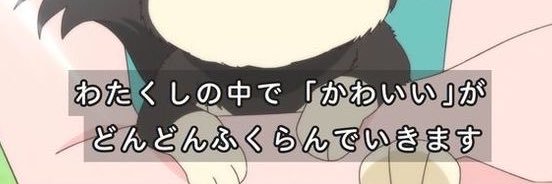 のんの banner