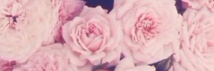 seel_ksm's profile banner image