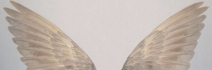 ___agx's profile banner image