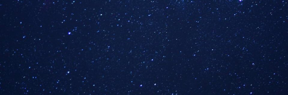 alesha's profile banner image