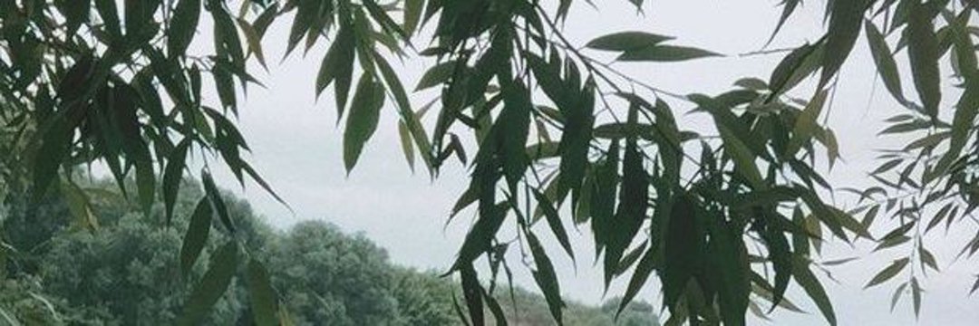 Cloudy_lwt's profile banner image