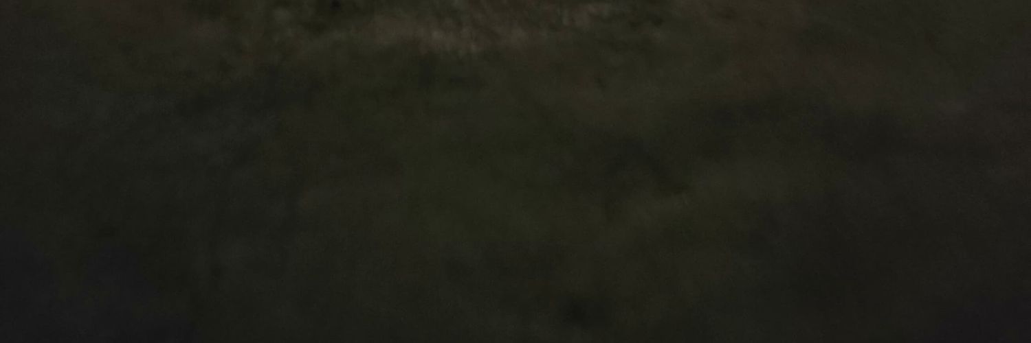 SashhBTS7's profile banner image