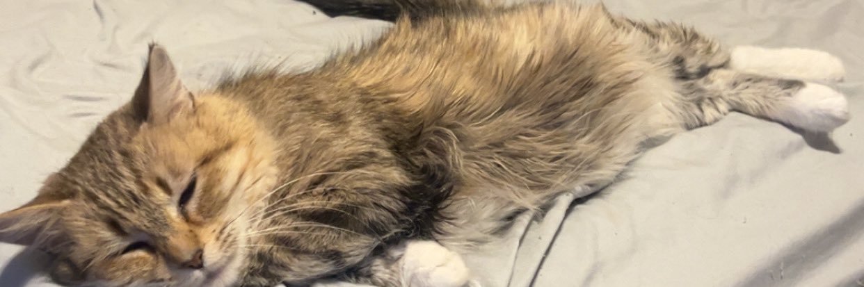 J Pierce 🫡 banner