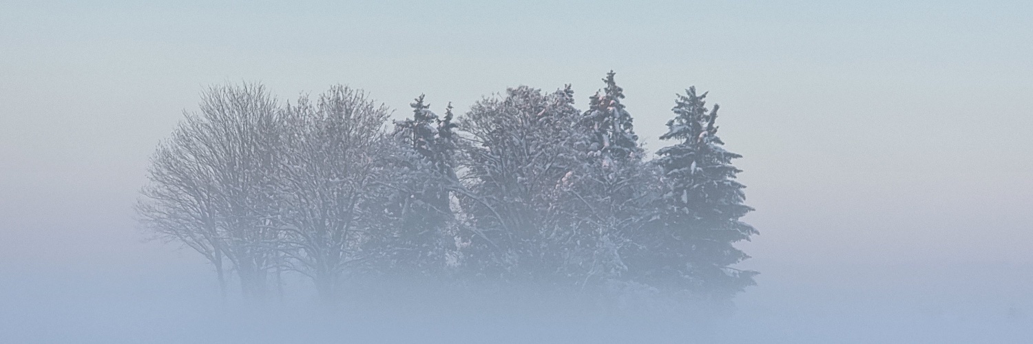 Almigurt's profile banner image