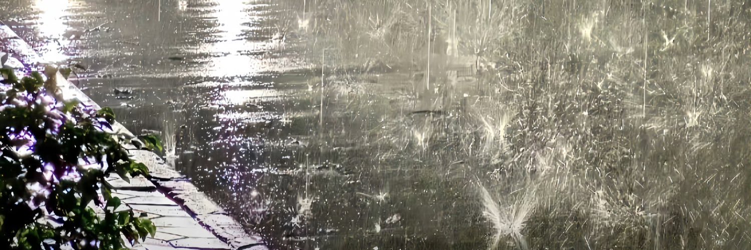 开心的狗男厨 banner