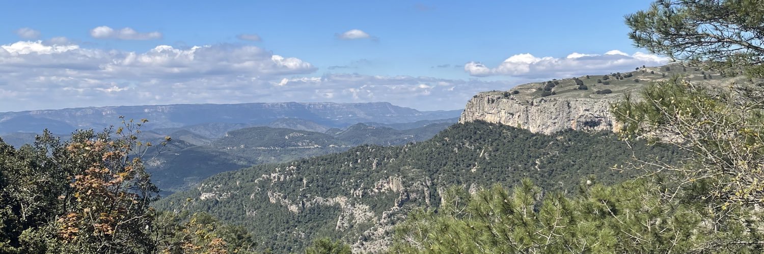 mossegades's profile banner image