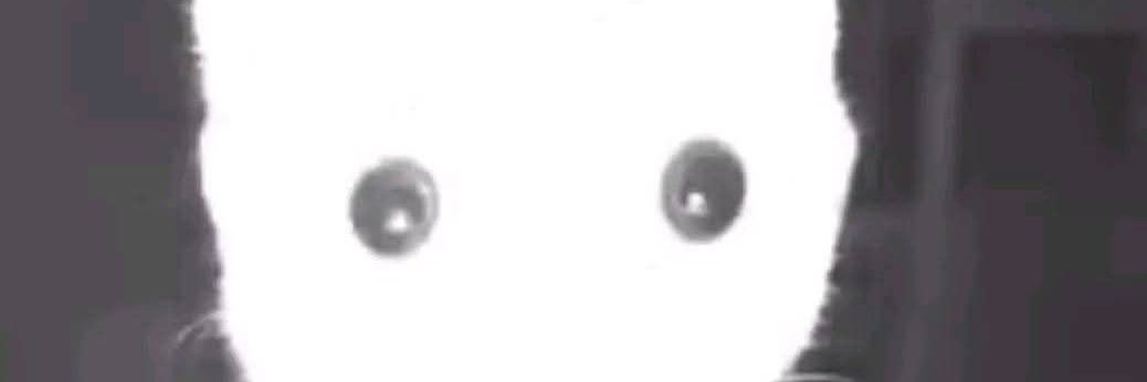 AYASE MOMO's banner
