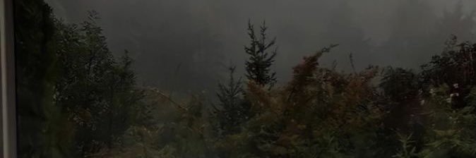 jiwoti's profile banner image