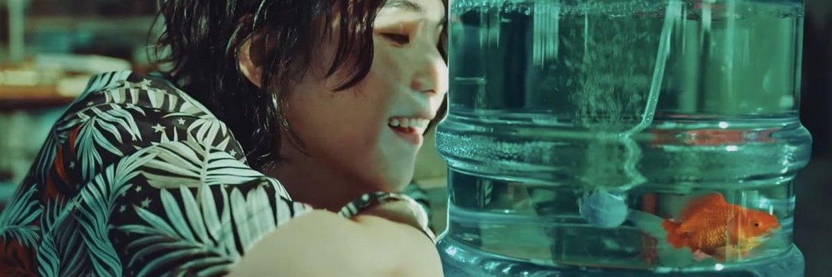 sᴘɪᴅᴇʀᴍᴀɢ⁷ - 𝑓𝑙𝑖𝑛𝑠 𝑚𝑎𝑖𝑛 banner