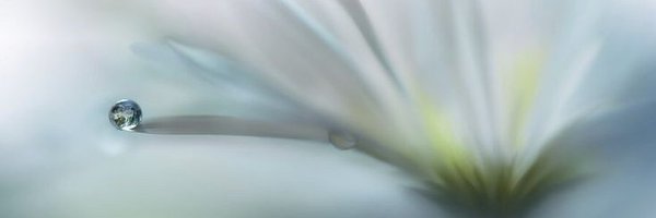 maxynejournal Profile Banner