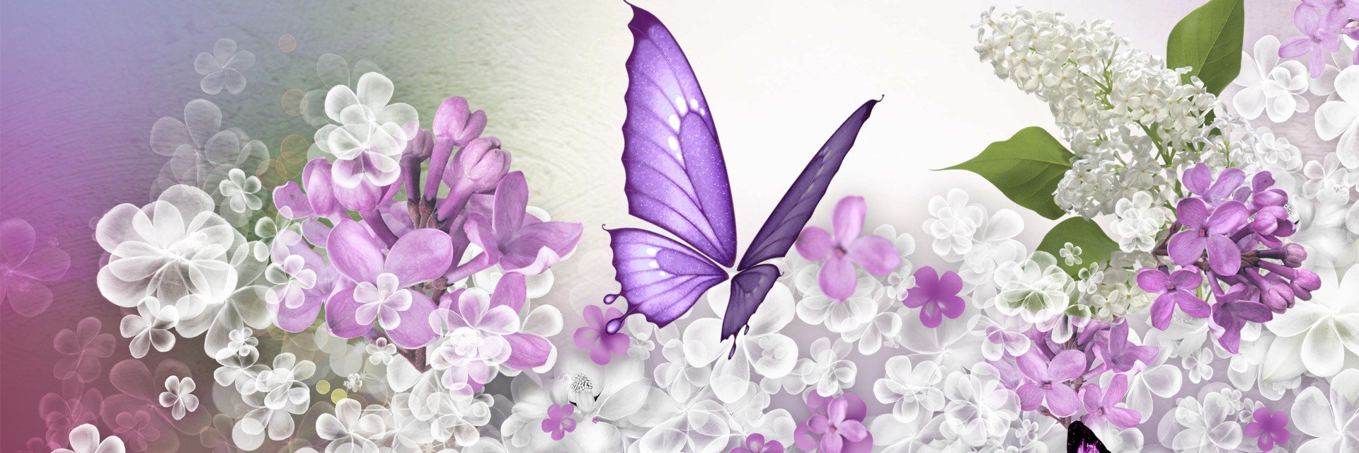 RecentBooksKS's profile banner image