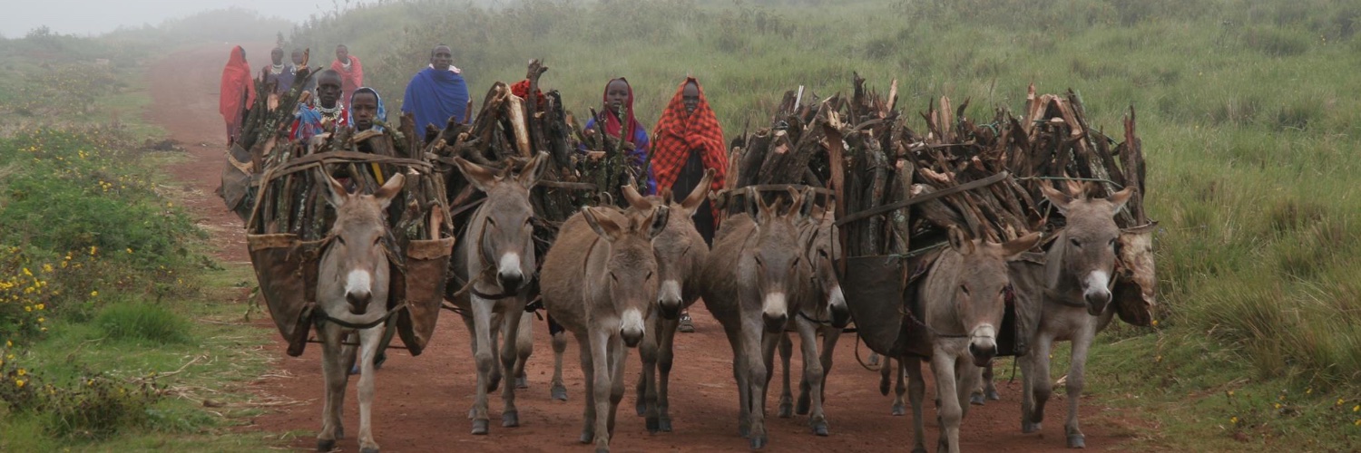 SACIDS Foundation for One Health banner