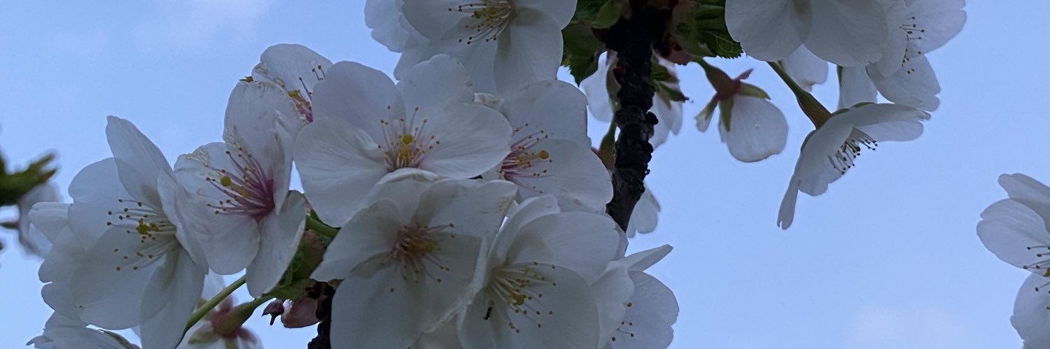 binbinaaa's profile banner image