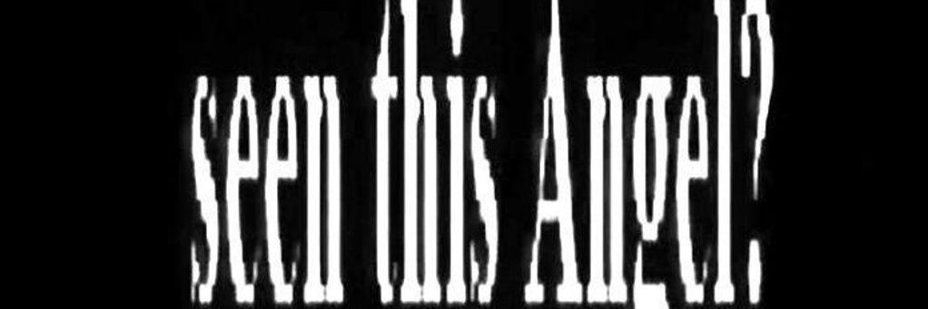 STELLO? banner