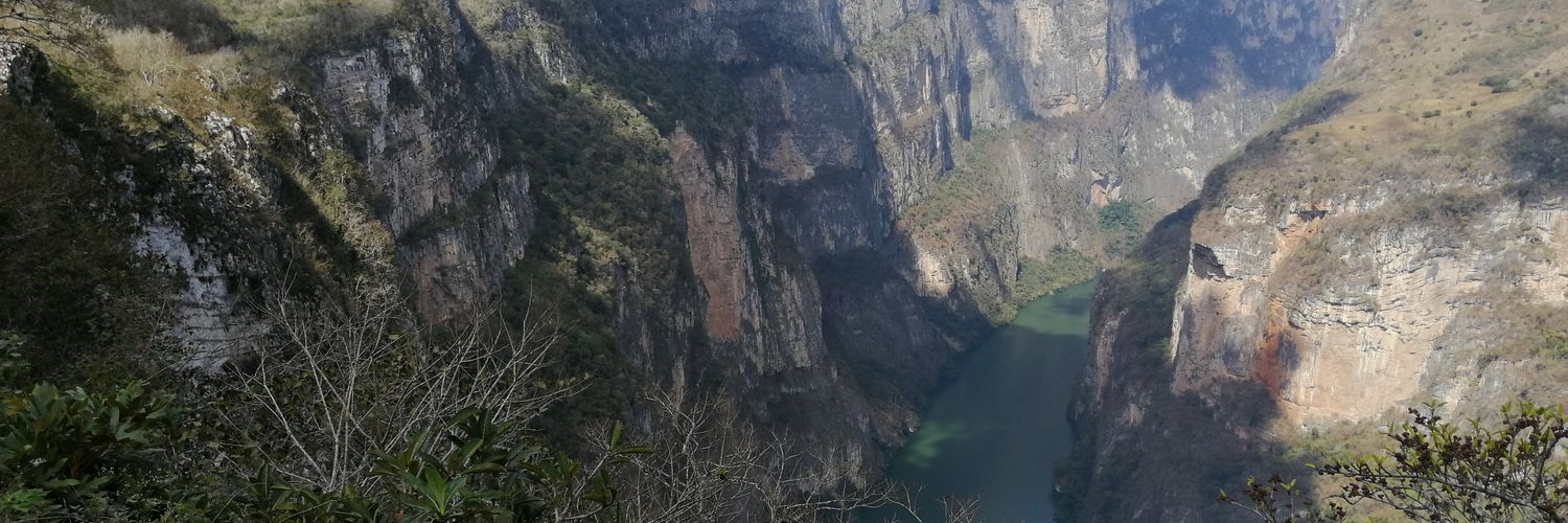 Alberto Chamé banner