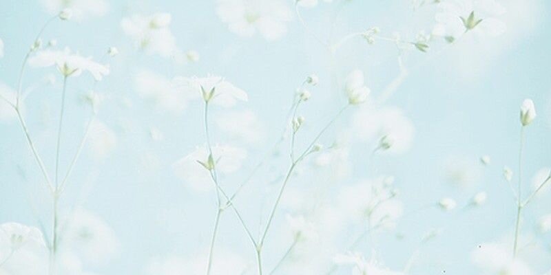 Dewi_anglovaz's profile banner image