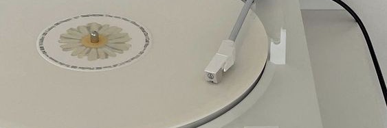 runmgk2's profile banner image