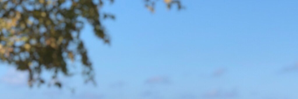 ordupm's profile banner image