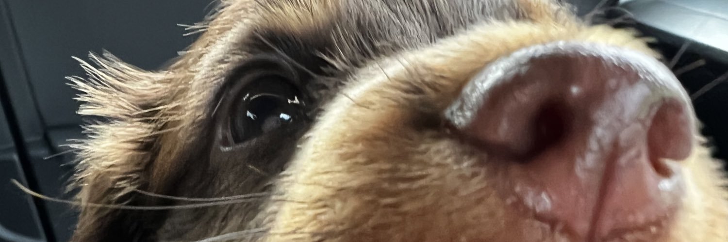 aimeejayne13's profile banner image