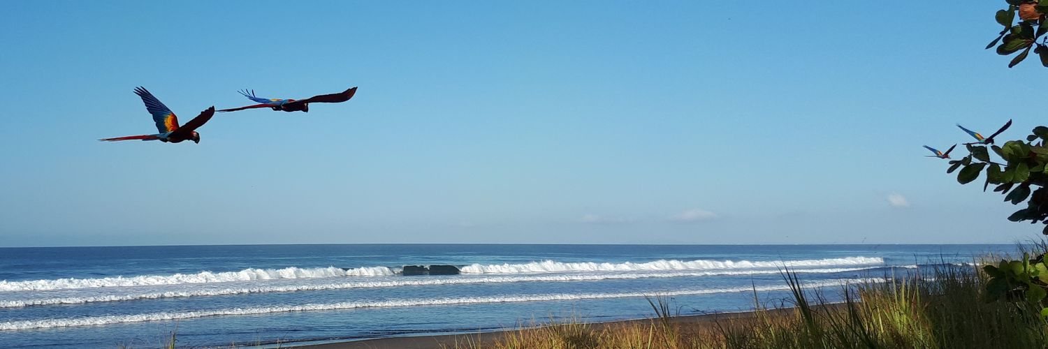 NiagaraPhil's profile banner image
