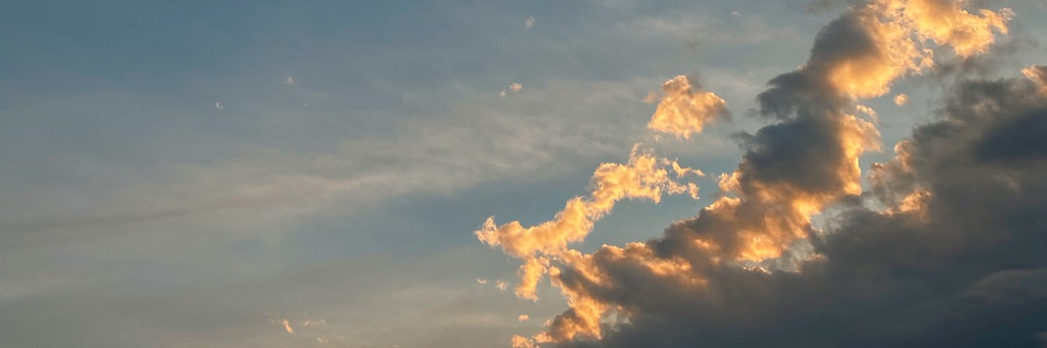 AbrilMDV's profile banner image