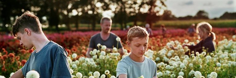 The International Film Awards banner
