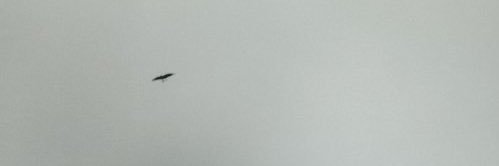 make1comma2's profile banner image