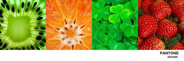 t___oddler Profile Banner