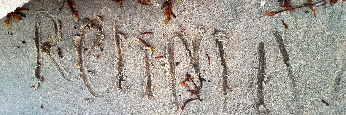 m4862181's profile banner image