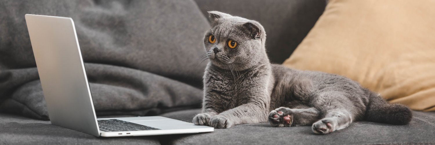 El Gato Relato's banner