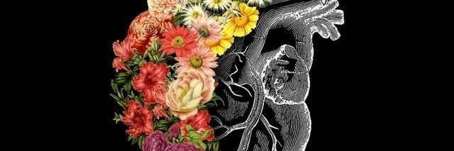 Car_Crotta's profile banner image