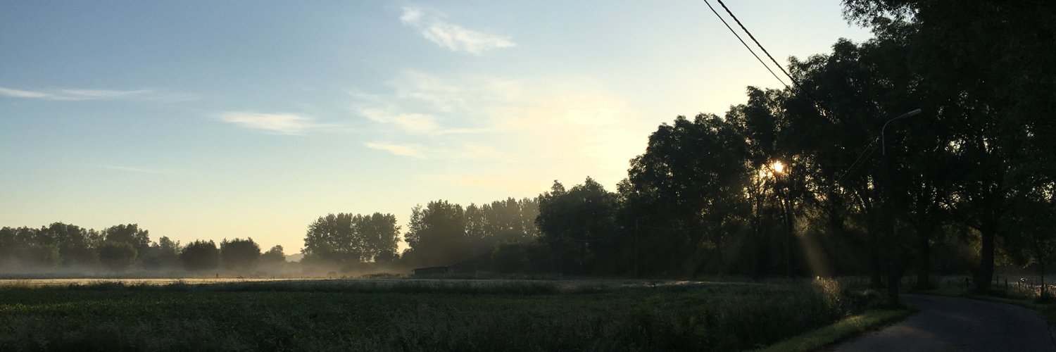 BramEMSchelfaut's profile banner image