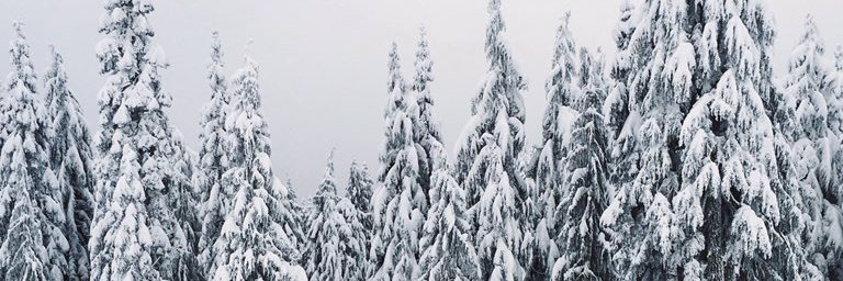 Daniel Arevalo banner