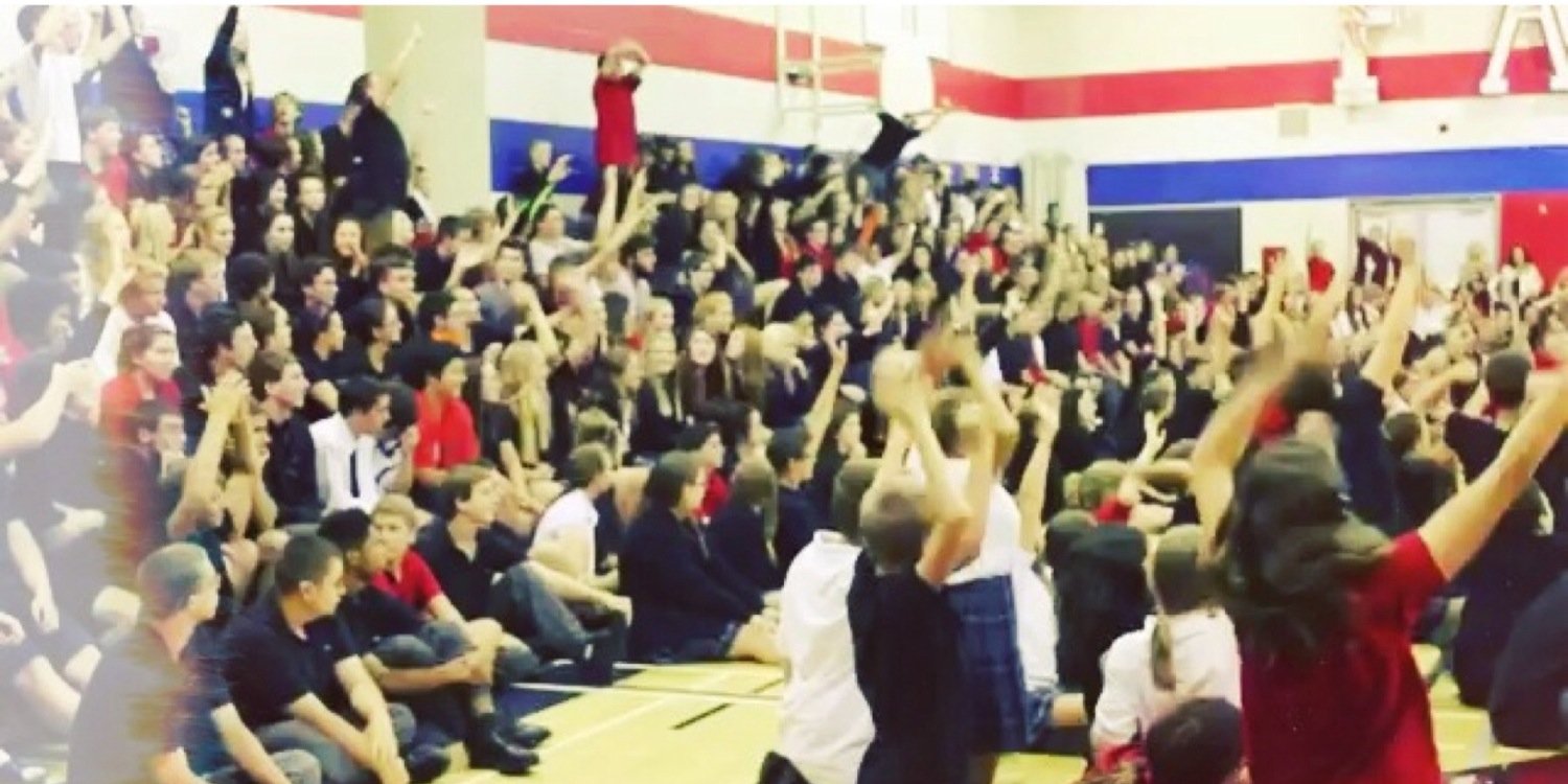 SPCSS Falcons banner