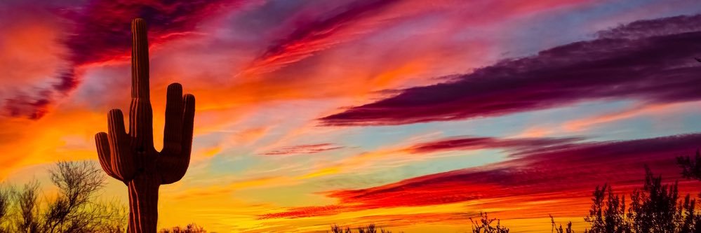 Sugar Dunkerton banner