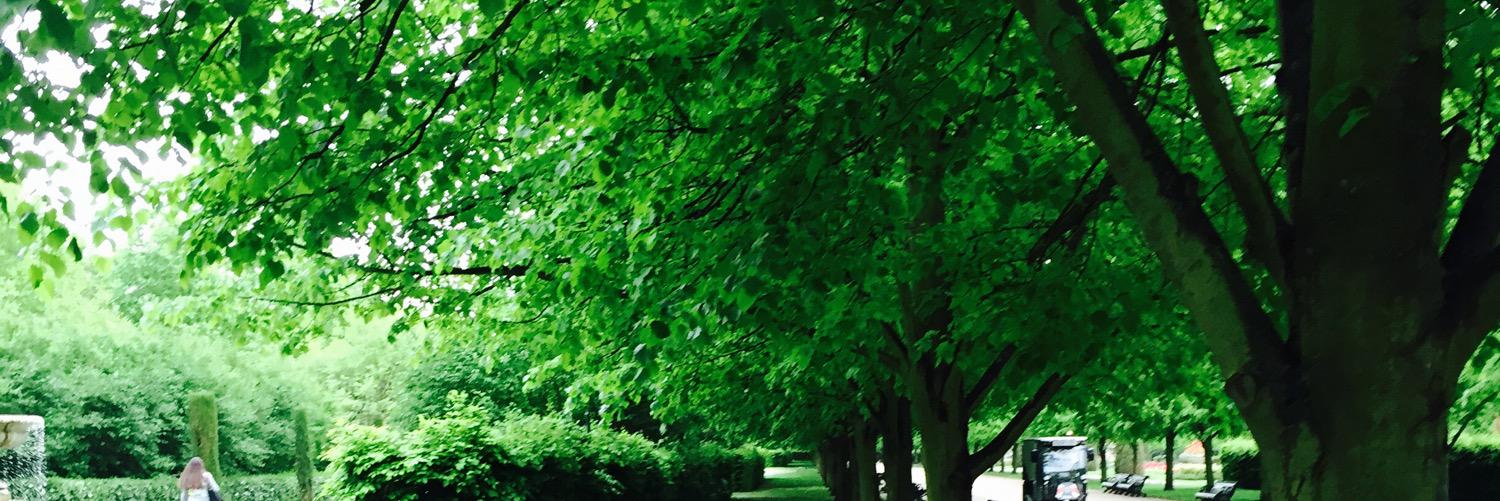 Jeremy  Chatterton banner