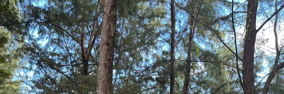 gdwyfa's profile banner image
