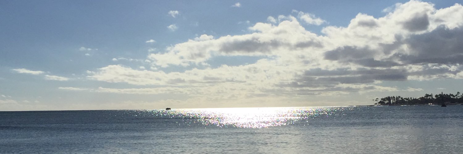 zkosin12's profile banner image