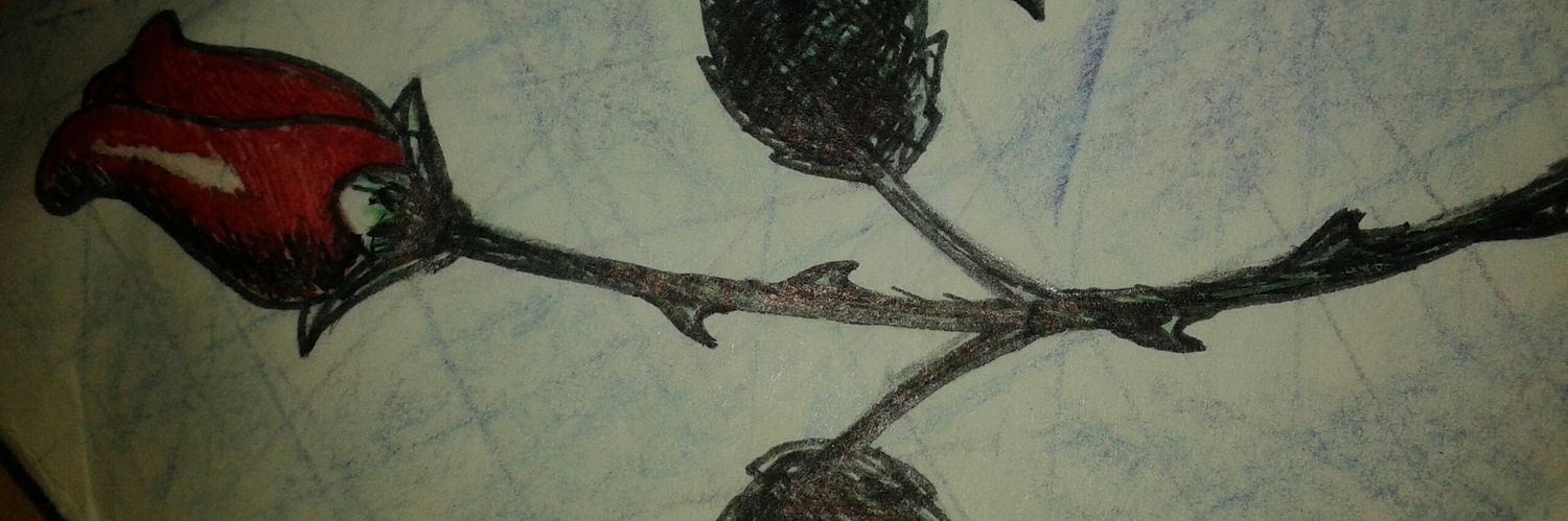 SBonno's profile banner image