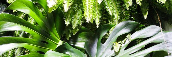 ConsciousHotels Profile Banner