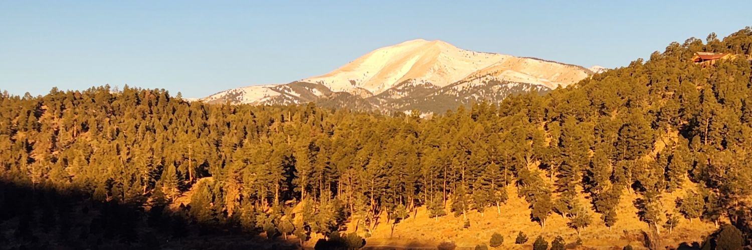 Mike's Home Exercise banner