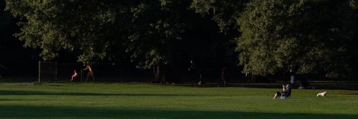 patcharaporny_'s profile banner image