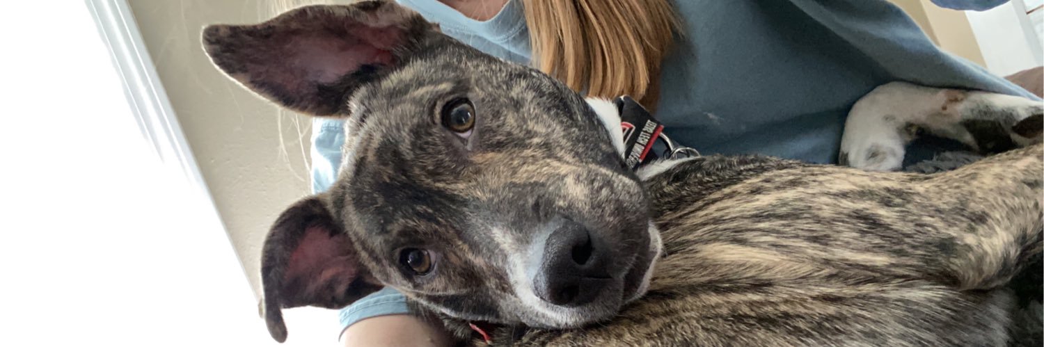 abbeyyy_walkerr's profile banner image