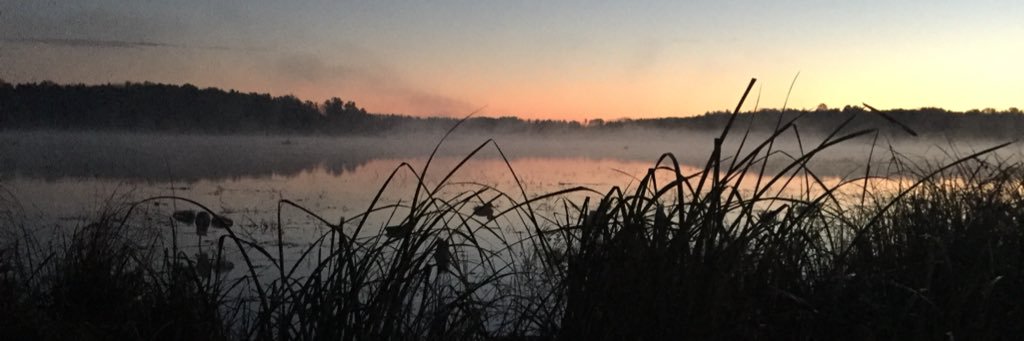 KrantzNic's profile banner image