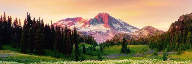 morganjsadler's profile banner image